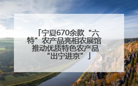 宁夏670余款“六特”农产品亮相农展馆 推动优质特色农产品“出宁进京”